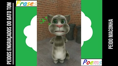 Peidos engraçados do gato tom: Peido maconha, tem medo de sair! [Frases e Poemas]