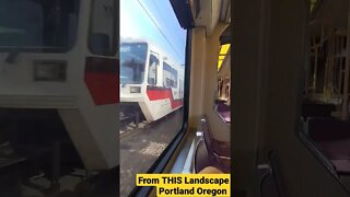 City Of Portland | West Bound Riding Public Transportation | MAX LIGHT RAIL TRAIN (SUBSCRIBE)