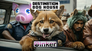 Destination Dog House