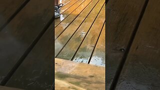 How to Revive your Deck with Pressure Washing #shorts