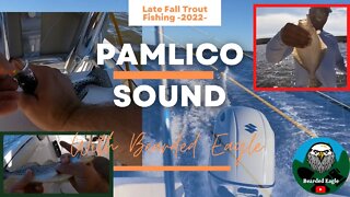Pamlico Sound Trout #Fishing