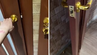 Spooky door makes very scary sounds
