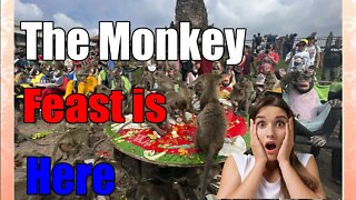 Monkeys in central Thailand city mark their day with feast Reaction