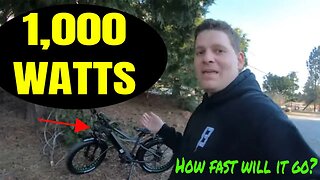 What's the 1000 watt electric bike top speed?