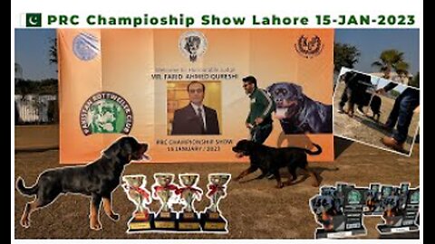 PRC (Pakistan Rottweiler Club) Championship Show Lahore - 15-Jan-2023 - KCP Show - FCI - Bahria Town