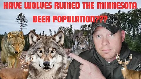 Northern Minnesota Deer Hunt [Have the Wolves Completely Ruined Deer Hunting?]