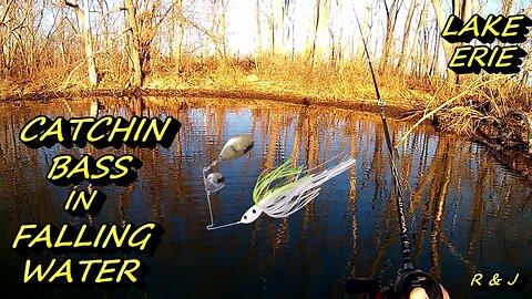 LARGEMOUTH BASS STRATEGIES IN COLD FALLING WATER