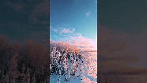 Amazing Nature Tiktok alaskatiktoks