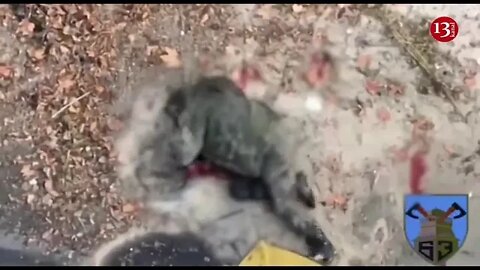 Unique shots from Ukraine: A drone destroys a Russian soldier