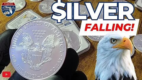 Silver Premiums are Falling! Is Now the Time to Buy American Silver Eagle Coins?