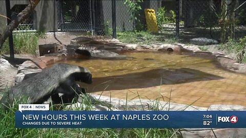 Naples Zoo adjusting hours in response to record heat