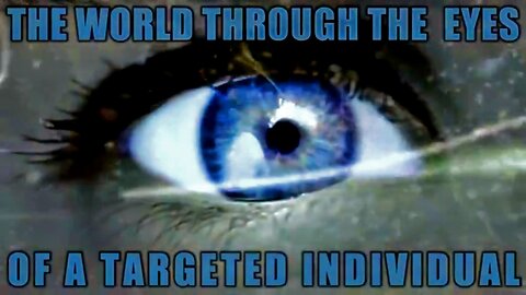 The World Through the Eyes of a Targeted Individual