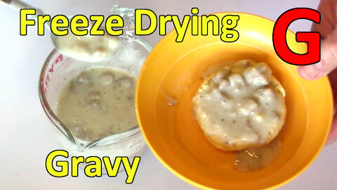 Freeze Drying Gravy