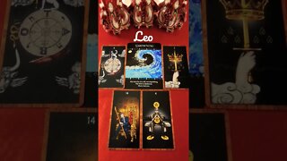 #Leo ♥️ A Deep Confession #tarot #horoscope #zodiac #Astrology #tarotreading