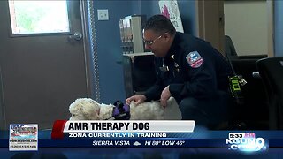 AMR Southern Arizona ambulance service training first therapy dog