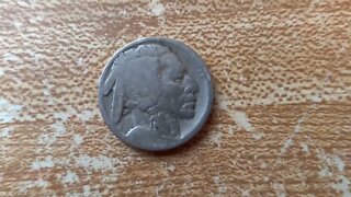 Treasure Hunting | Metal Detecting | Buffalo Nickel | Collection