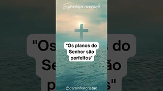 Esperança Renovada 🙏🏻✝