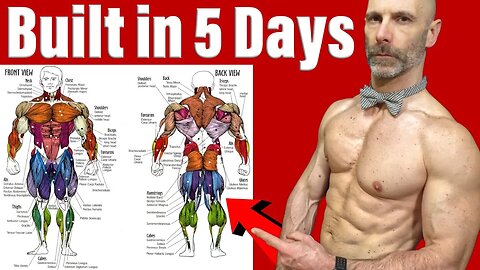 Best 5 Day a Week Training Split (Full Workout Included)