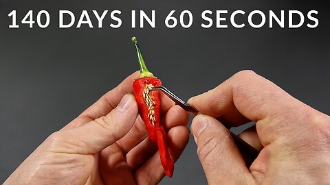 140 days in 60 second timelapse video