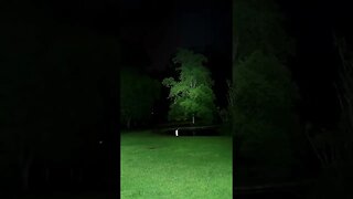 Wurkkos FC12 vs FC13: Beam shots in a dark park #shorts