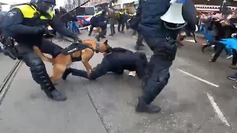 Dutch Police Deploy Wild Attack Dogs To Maul Anti-Lockdown Protestors: “Comply or Die”