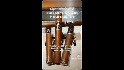 Black Star Line Cigars Marun 6x50 Toro #Short #CigarOfTheDay #Shorts #Cigars #Cigar #Sumatra #SNTB