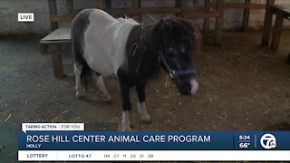 Rose Hill Animal Care Program