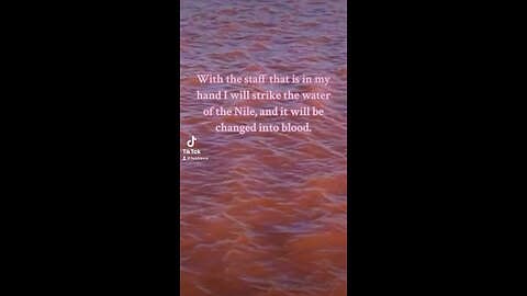 Blood of the Nile