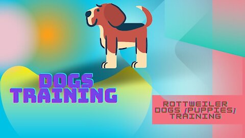 Rottweiler Dogs [puppies] Training Instructional 2021 || Dogs Training