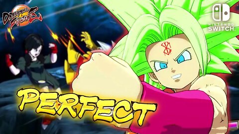 The PERFECT LOOPS | DBFZ Switch Online Matches