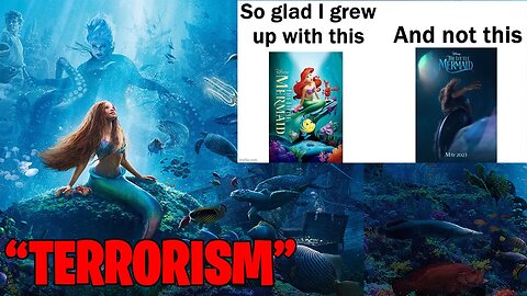 Media Calls Fans TERRORISTS for Disliking The Little Mermaid!