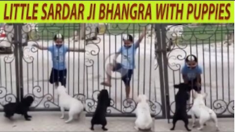 Little Sardar Ji's Bhangra with puppies Balle Balle