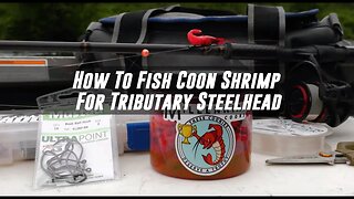How To Float Fish Coon Shrimp For Tributary Steelhead Fishing