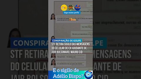 STF retira o sigilo do ex-ajudante de Bolsonaro - Será que vão tirar do Adélio Bispo? Resposta!