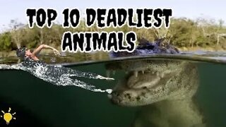 Top 10 Deadliest Animals and Tips to Survive Encounters