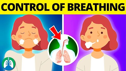 Medullary Respiratory Center: Control of Breathing (DRGs vs. VRGs)