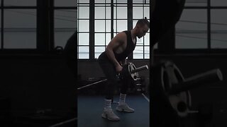T Bar Back Row Exercise