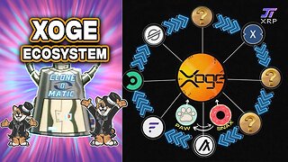 Xoge Ecosystem Overview - The Master Plan for the Xoge Clones