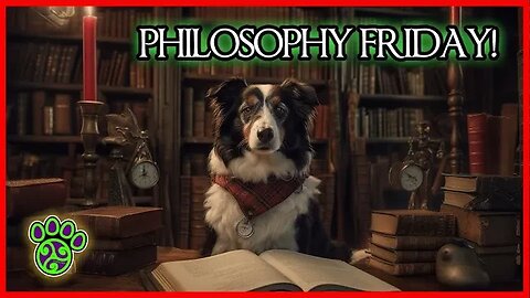 🥏🐶🥋 Philosophy Friday: Shape the Classical Condition w Interaction & Play+ | DiscDog Dojo#92 👊💥