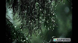 Unlock the Sound of Nature: Capturing the Magic of Rain Ambience | Rain Ambient Sounds.
