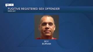 Police search for high risk sex offender