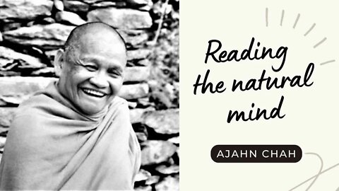 Ajahn Chah I Reading the natural Mind I Collected Teachings I 22/58