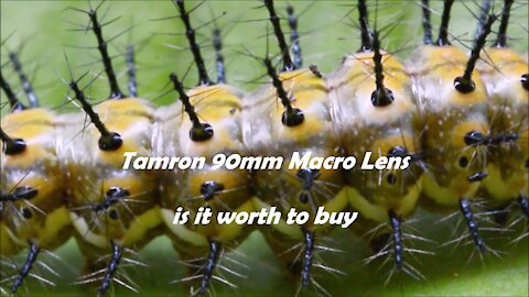 Tamron 90mm macro lens is it worth to buy