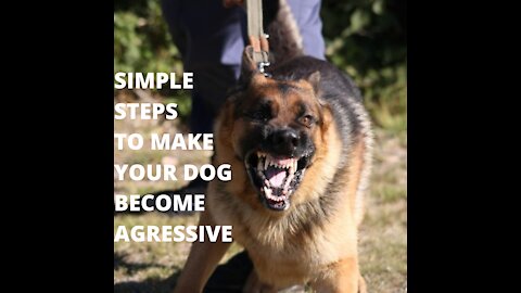 How To Make Your Dog Become Aggressive With Few Simple Steps