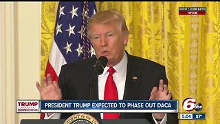 Trump expected to phase out DACA