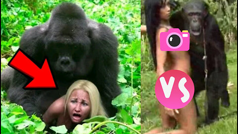 What This Gorilla Did To A Tourist In The Jungle, Shocked The Whole World!