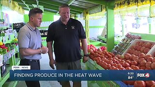 Finding produce in the heat wave