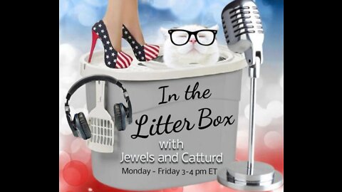 Ann McElhinney and Phelim McAleer - In the Litter Box w/ Jewels & Catturd 9/21/2022 - Ep. 172