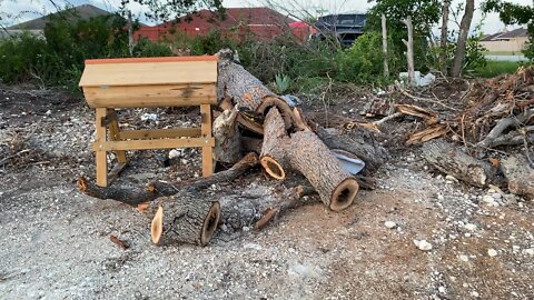 Following commercial beekeeper instructions, they wouldn't help, and these girls were facing burn pile.