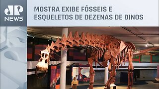 Parque do Ibirapuera estende exposição do maior dinossauro do mundo